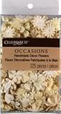 Celebrate It Handmade Paper Flower Confetti, Cream