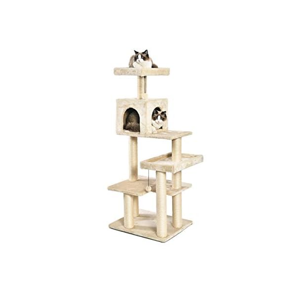 cat tree shop