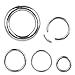 WildKlass Jewelry Septum Ring 16G 14G 12G 10G 8G Steel Segment Seamless Nose Hoop