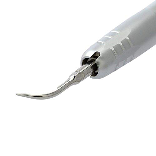 Aries Outlets High Low Speed Combination Suit Air Scaler Set 2 Holes USA Stock