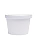 Belinlen Paper Ice Cream Cups with Lids, Hot/Cold Soup Cups (White, 40, 12 oz)