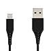 AmazonBasics Lightning to USB A Cable, MFi Certified iPhone Charger, Black, 4 Inch primary