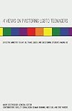4 Views on Pastoring LGBTQ Teenagers: Effective Ministry to Gay, Bi, Trans, Queer, and Questioning S by Mark Oestreicher, Shelley Donaldson