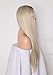 ALICE Lace Front Wigs Blonde Ombre Wig 24