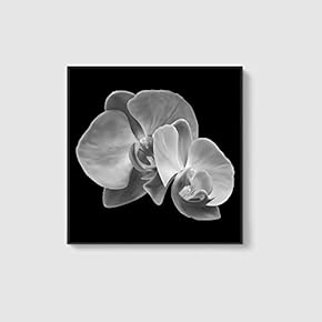 Framed Canvas Home Artwork Decoration Beautiful Flower Canvas Wall Art for Living Room, Bedroom - 16x16 inches