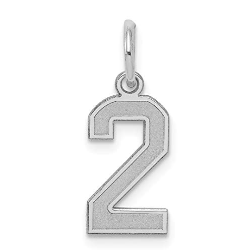 925 Sterling Silver Number 2 Charm Necklace Pendant Charms Laser Etched Fine Jewelry For Women Gifts For Her