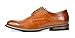 Bruno Marc Men's Prime-1 Brown Leather Lined Dress Oxfords Shoes - 9 M US