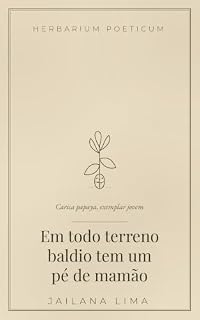 Livro Em todo terreno baldio tem um pé de mamão