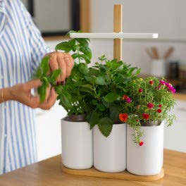 Huerto de cocina Lilo – blanco y bambú – listo para empujar ...