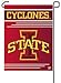 NCAA Garden Flag