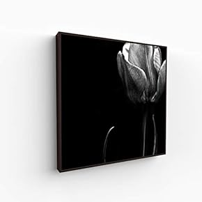 Canvas Wall Art for Living Room, Bedroom Monochrome Image Framed Canvas Prints for Home Decoration Ready to Hang - 16x16 inches