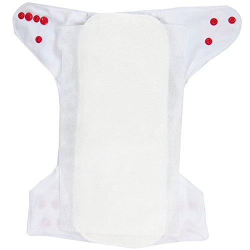 5 Wegreeco+Unscented+Biodegradable+Fragance+Chlorine