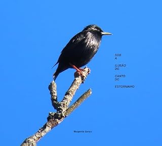 Livro Sob a ilusão do canto do estorninho