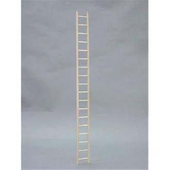 North American Pet BBO22784 Bob Ladder Keet for Pets, 36-Inch