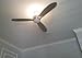 Home Decorators Collection Federigo 48 in. LED Indoor Brushed Nickel Ceiling Fan