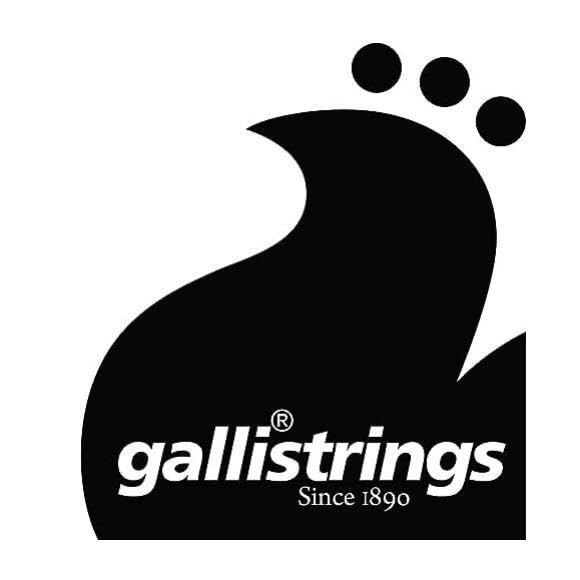 5 String Banjo, Medium. Nickel Strings