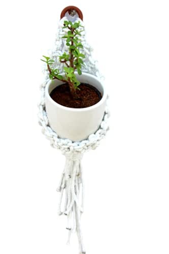 Fair Garden Solution Nest Macrame Plant Hanger