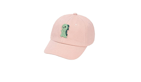 supreme dinosaur hat