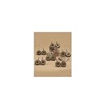 Owl Friend Set of 12 Shower Curtain Hooks