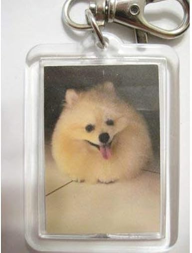 pomeranian keyring