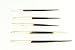 African Porcupine Quills 5-7