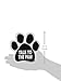 Imagine This Paw Car Magnet, Talk to the Paw,  5-1/2-Inch by 5-1/2-Inch