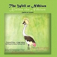 The Well at Ndhiwa by Jodi Hokenson