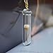 Daisy Natural Ivory Real Flowers Transparent Glass Bottle Pendant 18k Gold Plated Chain Necklace for Women Handmade