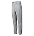 Mizuno Adult Men's Premier Piped Baseball Pant