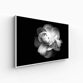Canvas Wall Art for Living Room, Bedroom Monochrome Plants Framed Canvas Prints for Home Decoration Ready to Hang - 16x24 inches