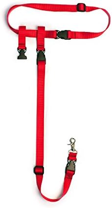 Hands Free Dog Leash, Adjustable Leash for Running, Jogging, Training and Service Dogs, Great for Small, Medium and Large Dogs, Made in USA (Red, Regular Belt (22"- 40" Waist))