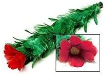 Deluxe Blooming Blossom Magic Trick