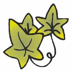 Art Stamps Linda Brown Small Ivy Stamp,