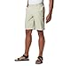 Columbia Men's Blood and Guts III Short