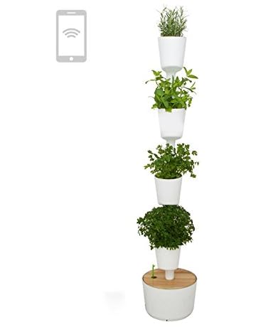 Amazon.es: Huertos urbanos y kits: Jardín
