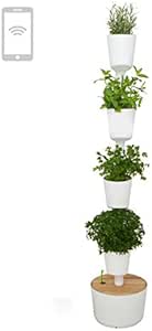 Citysens- Kit Huerto Urbano Vertical con autorriego Inteligente ...