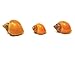 Aquatic Arts 5 Live Gold Mystery Snails Freshwater Aquarium Species/Real Living Glass Fish Tank Clearer | Nano Pets/Natural Decorations