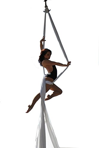 Dasking premium aerial silks equipment - safe deluxe ae…