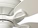 Luminance kathy ireland HOME Carrera Grande Eco Ceiling Fan Fixture with 6-Speed Wall Control and Downrod | Energy Star Rated Motor | Light Kit Adaptable and Blades Sold Separately, Satin White, 37 to 45 Inches, 46 to 50 Inches, 51 to 55 Inches,56 to 65 Inches , 66 Inches & Up