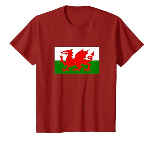 Wales Cymru 2021 Flag Love Soccer Football Fans Or Support T-Shirt