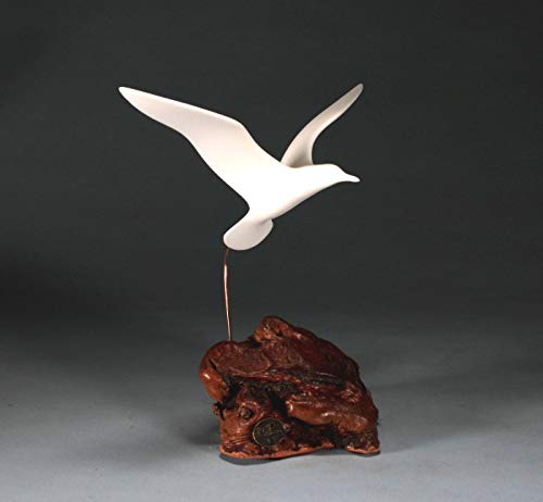 Seagull Sculpture from John Perry 9in Wingspan Upwing version on Burl Statue Figurine Art