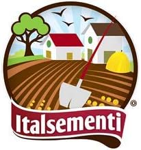 Italsementi Raperonzolo - Image 5
