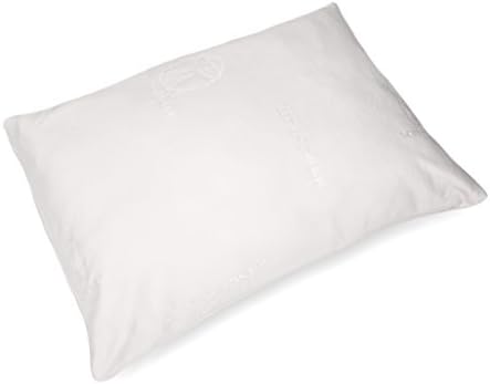 Science of Sleep Forever Full Pillow