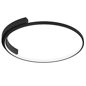 WDX- Plafondlamp 40/50 / 60cm slaapkamer lamp plafondlamp Creative eetkamer woonkamerverlichting persoonlijkheid LED…