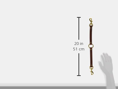 Mendota Products Leather Two Dog Coupler Leash, 3/4-Inch by 13-Inch, Chestnut