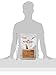 ROYAL CANIN FELINE HEALTH NUTRITION Selective 40 Protein Preference dry cat food, 6-Pound