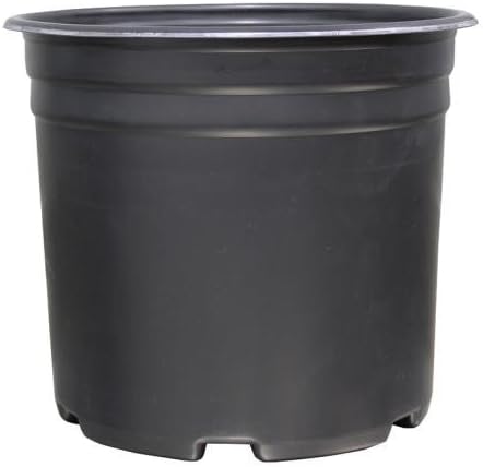 Thermoformed Nursery Pot 5 Gallon