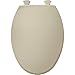 BEMIS 1800EC 006 Plastic Toilet Seat with Easy Clean & Change Hinges, ELONGATED, Bone