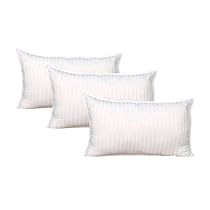 Warmland 3 Piece Microfibre Pillow Set - 17inx27in, White