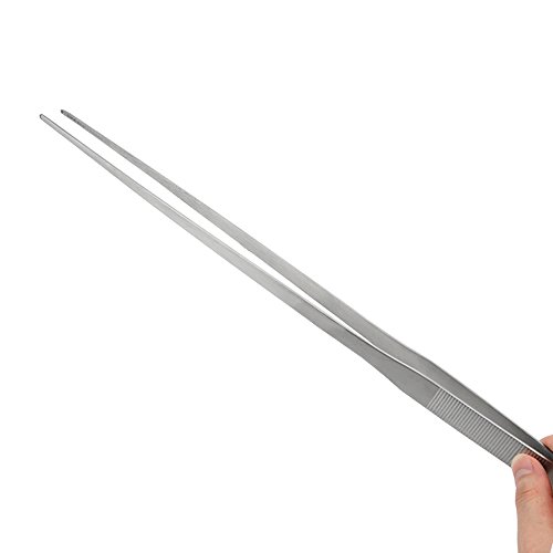 1 LILYS+PET+Straight+Stainless+Tweezers